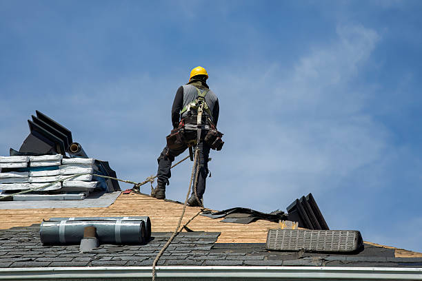 Professional Gutter Installation technician working in Hills, MN